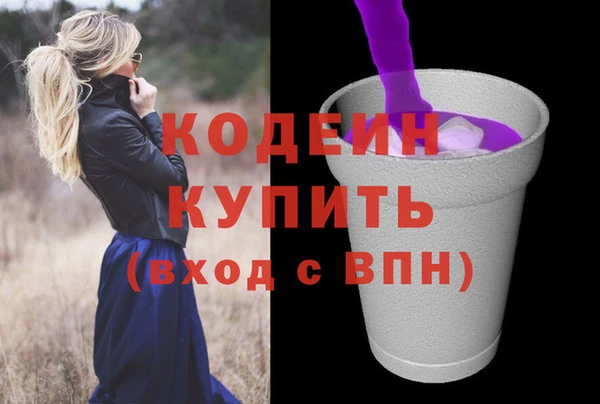 скорость Елизово