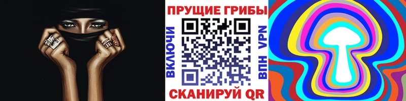 Купить где  Мурино  Галлюциногенные грибы GOLDEN TEACHER 